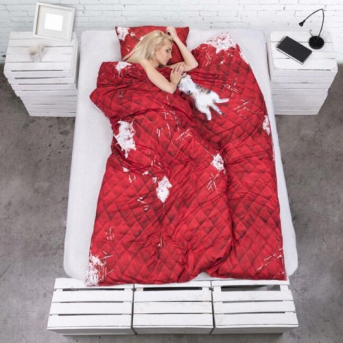 0bed2508298a1f9beba44181db10d023.jpg