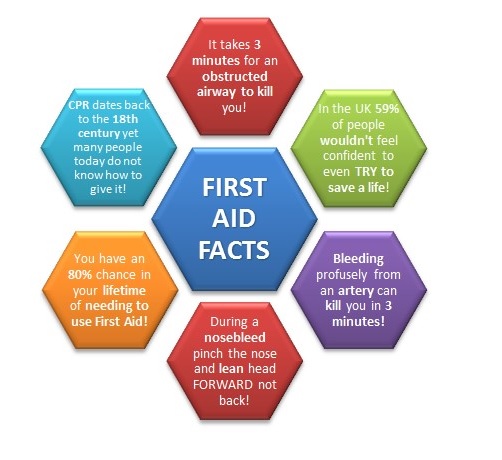 basic first aid diagram the o guide