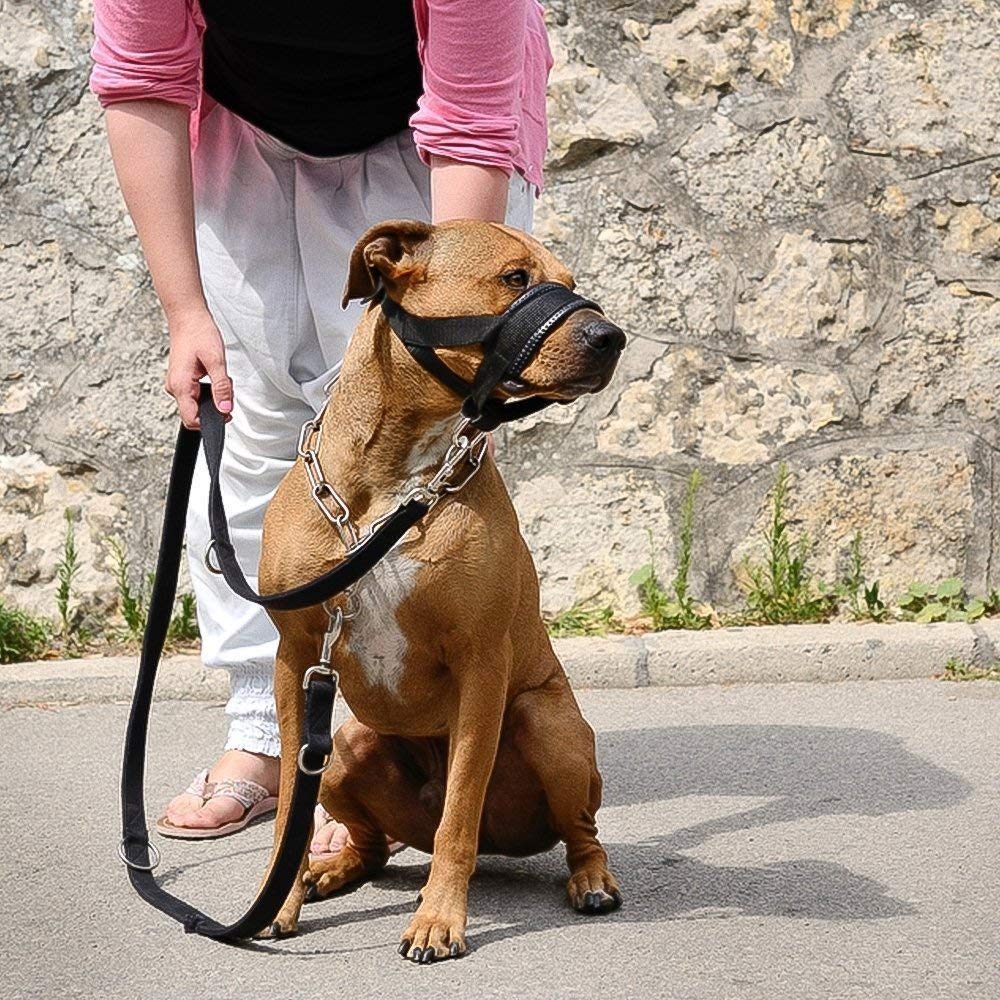 Muselière En Nylon Réglable Pour Chiens Museliere Anti Aboiement Anti Morsure Lnoir Cdiscount