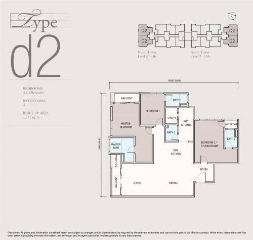 Type D2