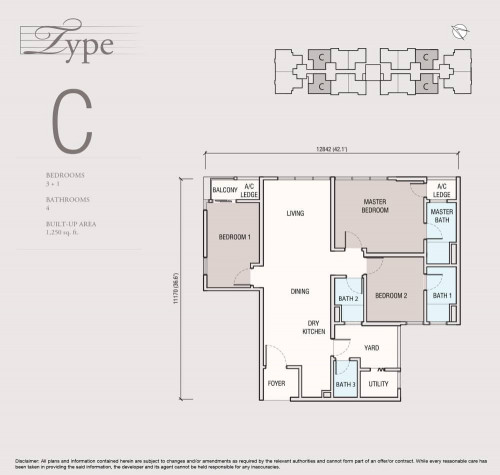 Type C