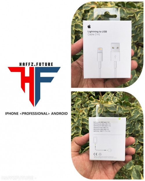 Apple Earpod & Cable