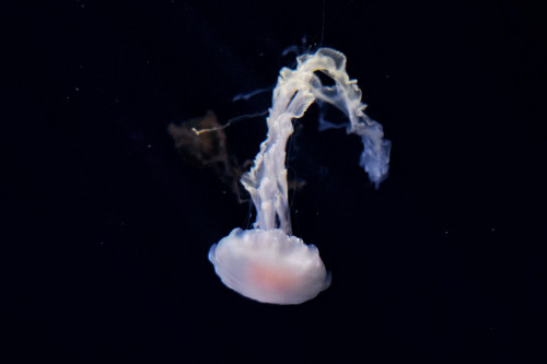 DSC 0277 01