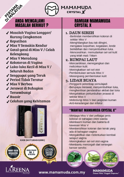 Crystal X flyer 1