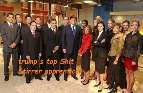 trump apprentice