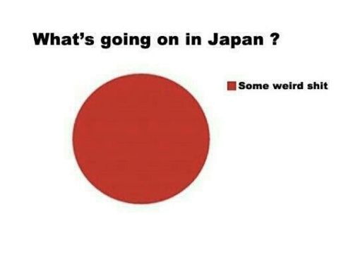 What is japan like