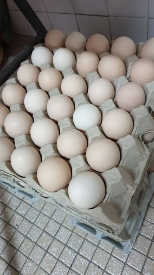 IMG 20191227 WA0010