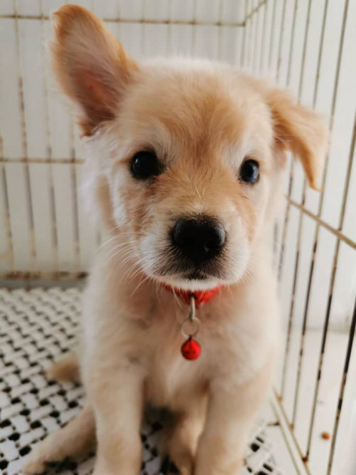 WhatsApp Image 2020 01 19 at 10.27.07 AM