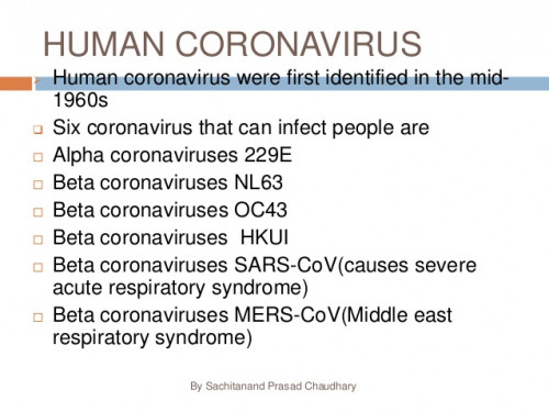 corona virus 3 638