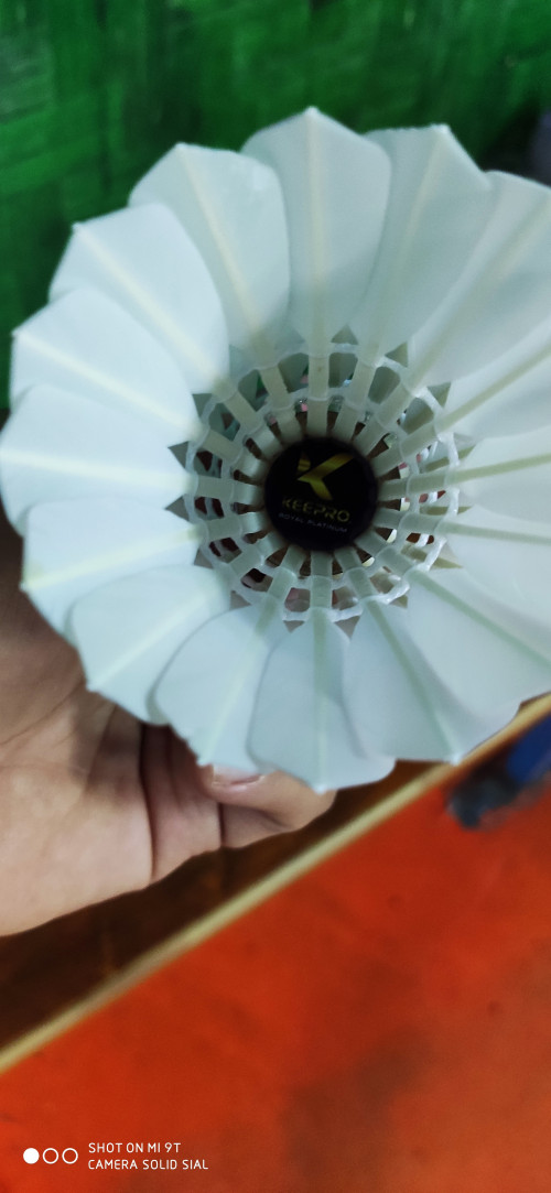 IMG 20200229 095845