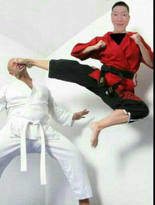 Girl kick face. Карате герл Мартиал КИК фэйс. Карате девочки face Kick. Каратэ женщины ногами. Victory pose карате