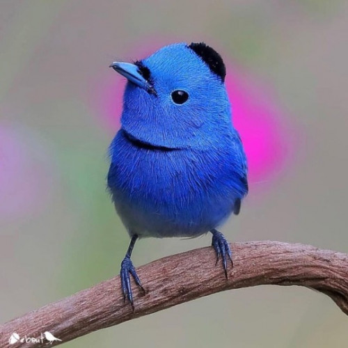 tumblr pkibmdVtEh1tfwuva 540