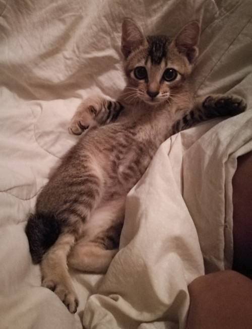 IMG 20191219 003030 01 Easy Resize.com