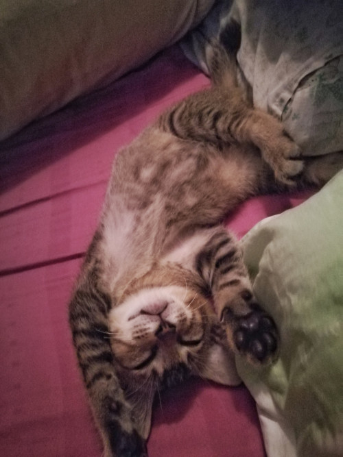 IMG 20191214 140423 01 Easy Resize.com