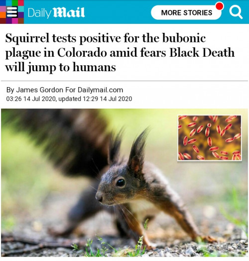 Bubonic plague detected in Colorado