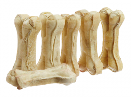 Dogs eating cooked bones e1592156698510