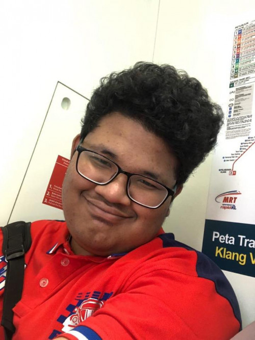 hensem