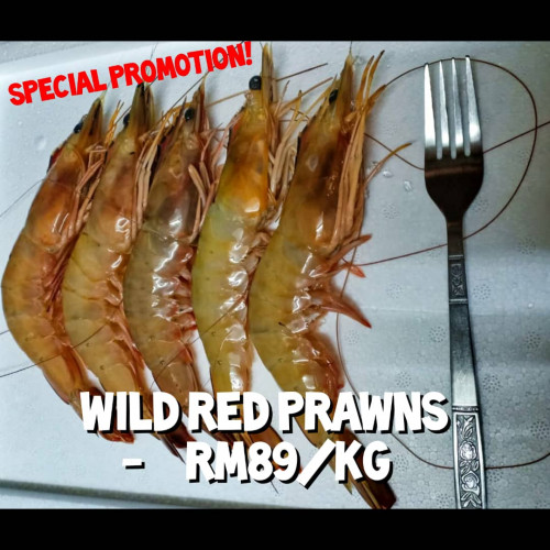 IMG 20201005 WA0010