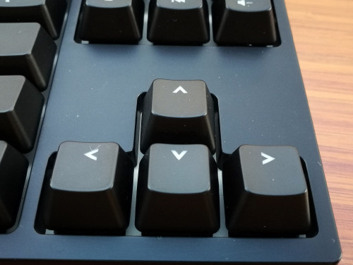 122861643 10158476624880630 9174257806080355989 o