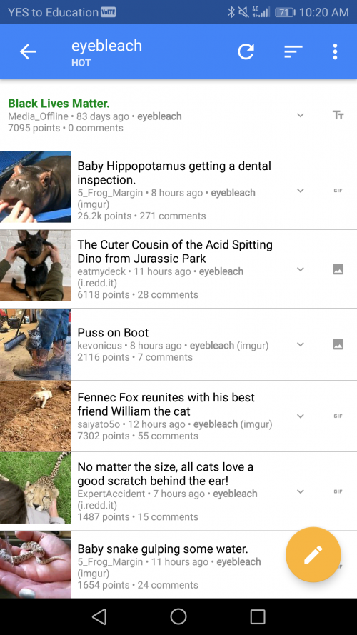 Damn So Many Strawberry Ppl Gore Site Gone