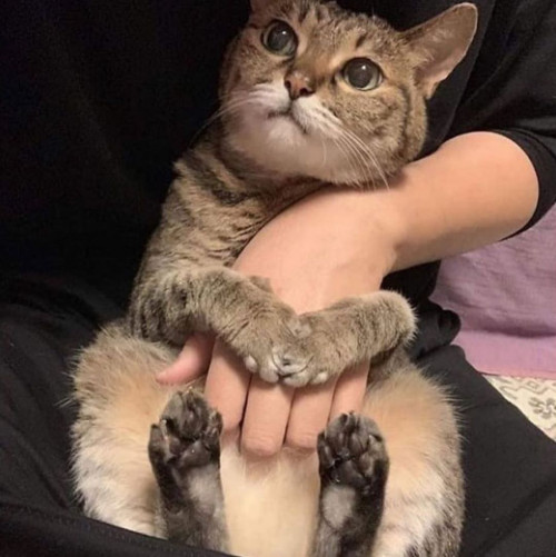 EqMBHGuXEAQcLH5