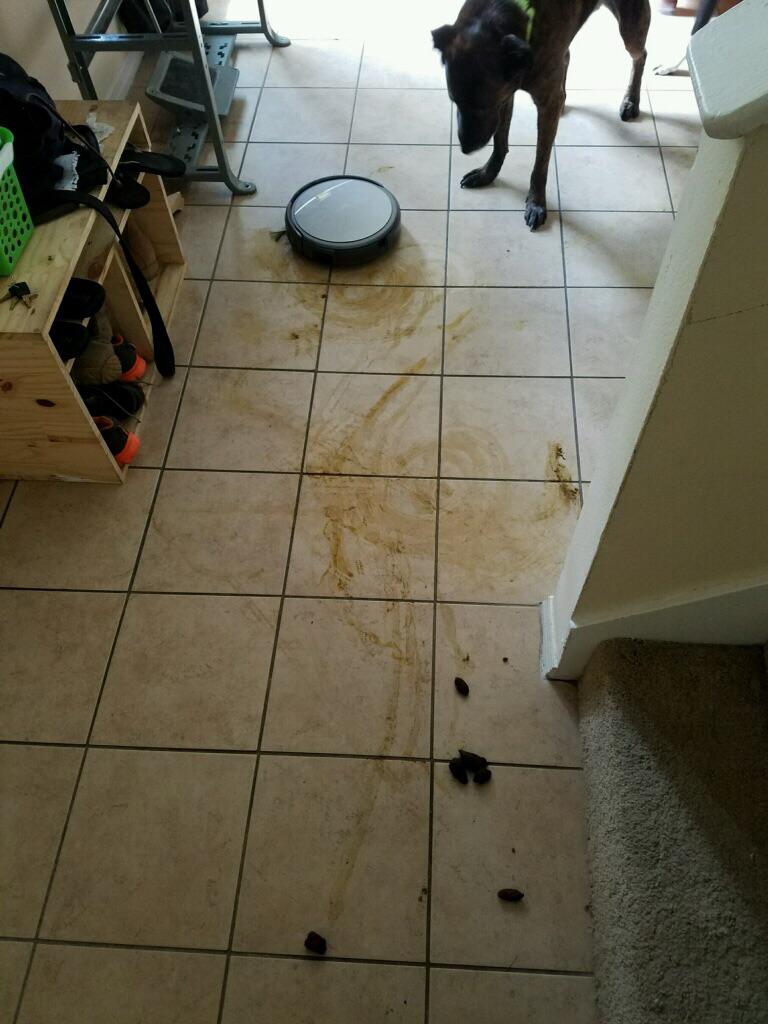 if this can clean pets' shit, it will be perfect