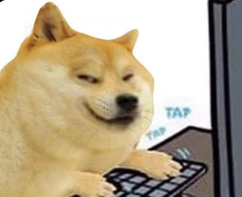 0hjdicwsnq251