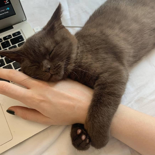 WhatsApp Image 2020 06 23 at 9.35.56 PM