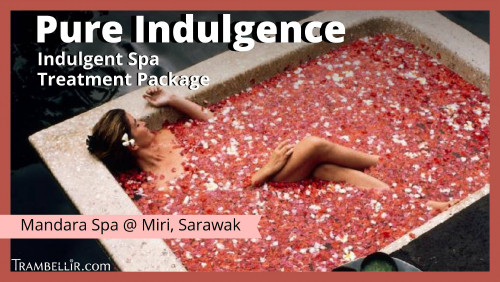 20201112 125540 4743+Pure+Indulgence