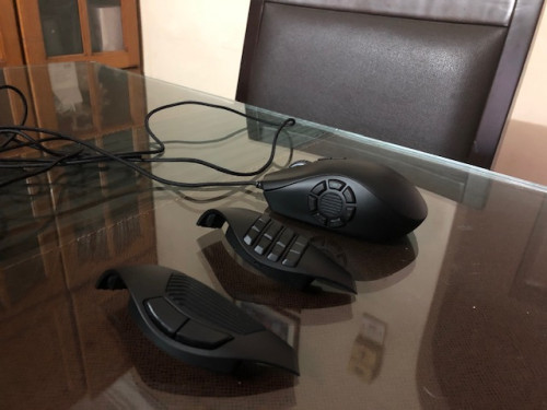 Razer 1