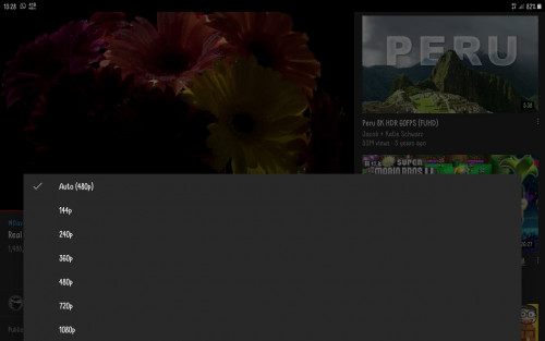 Screenshot 20210220 132814 YouTube
