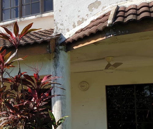 All About Roofs