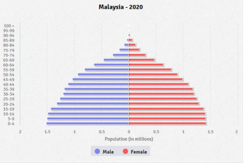 malaysia population pyramid 2020