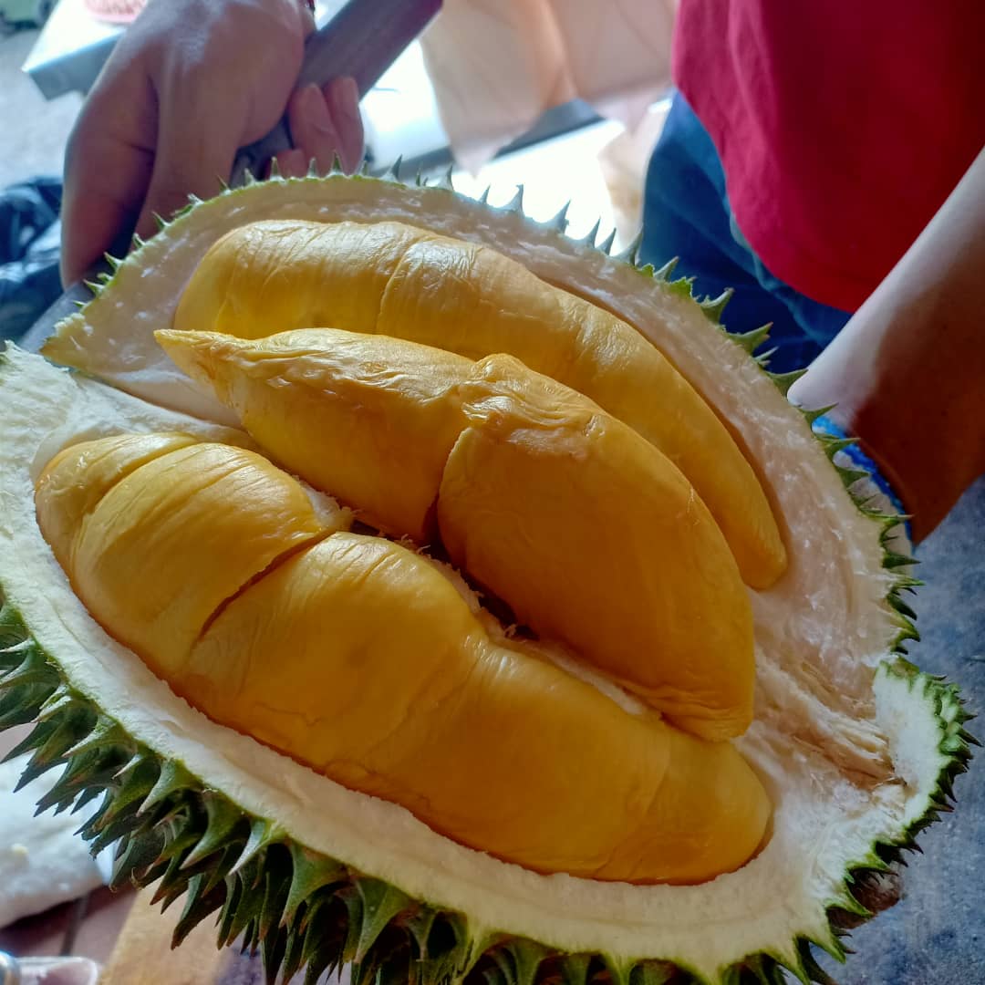 King price 2021 musang Durian Prices