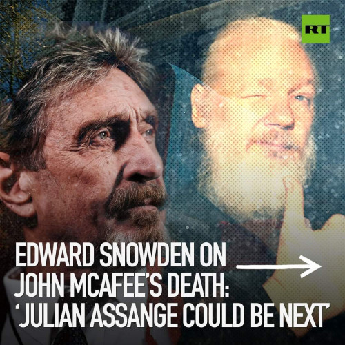 Ex NSA consultant said Julian Assange