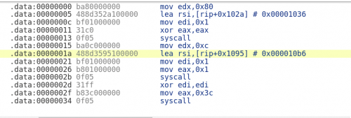 syscall