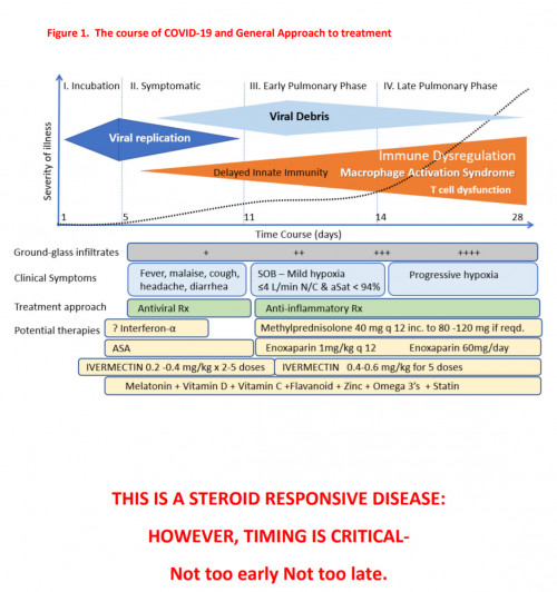 c19 protocol