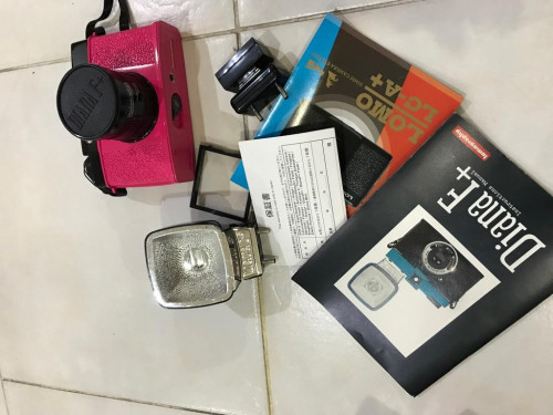 diana f camera lomography 1624729884 a8b027fd progressive