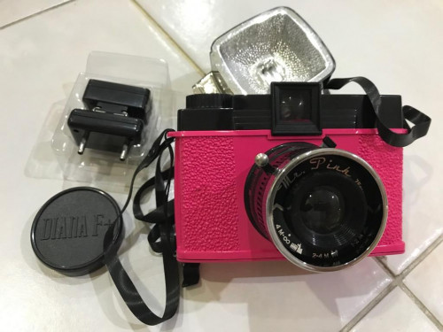 diana f camera lomography 1624729883 232d84d8 progressive
