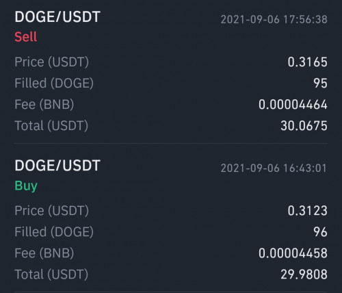 Screenshot 20210906 201231 com.binance.dev edit 1025948185608556