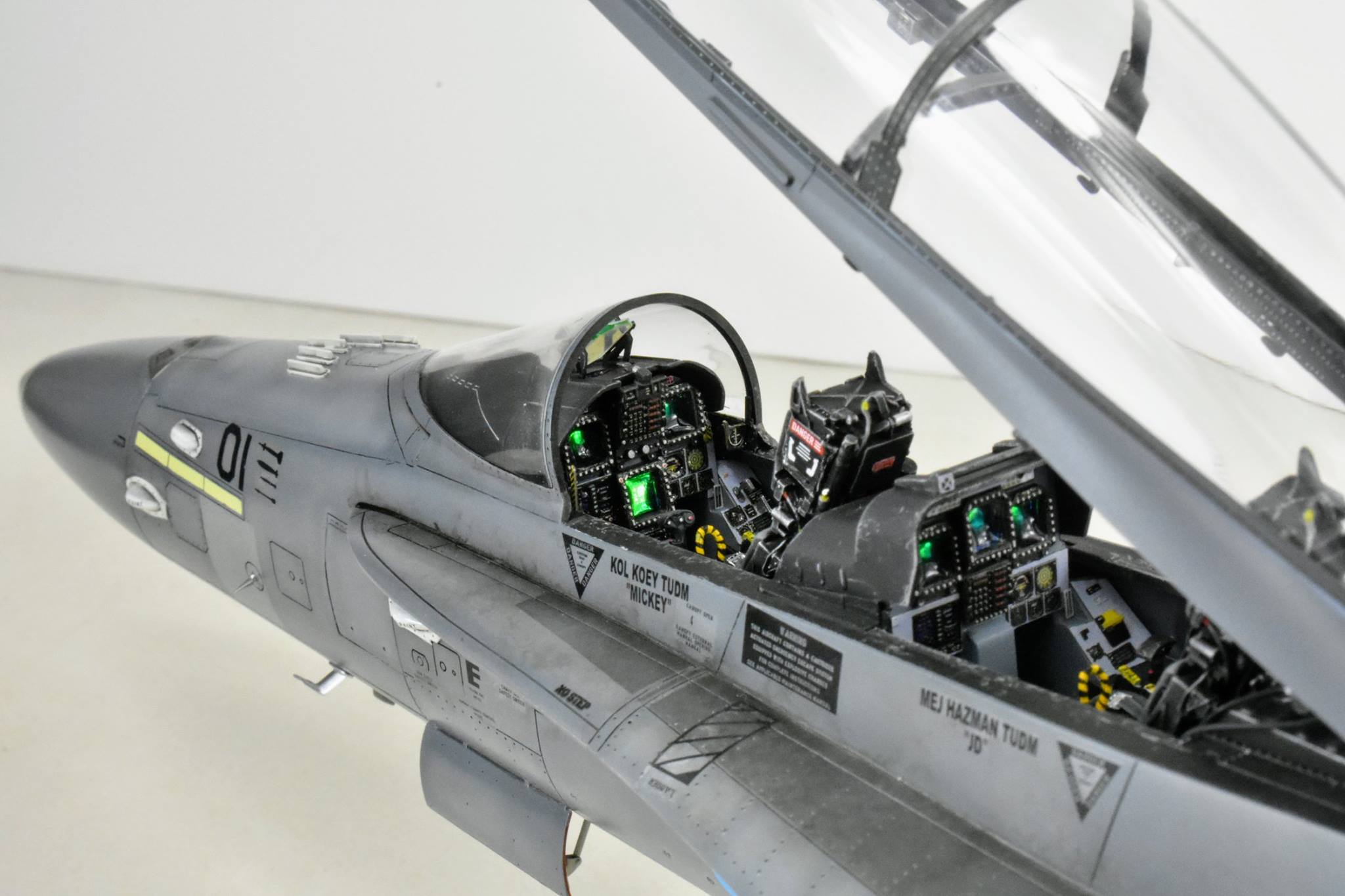 Fa 18d Tudm Scale Model 33 - Pictr.com