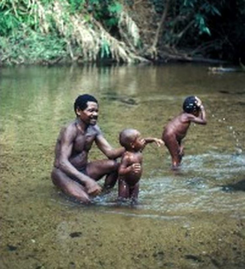 Batekbathing3 582x640