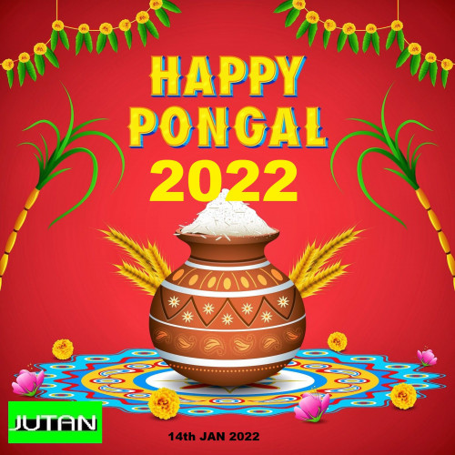 Pongal day