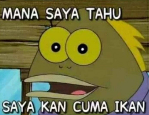 EZHrlNaU8AMfP j