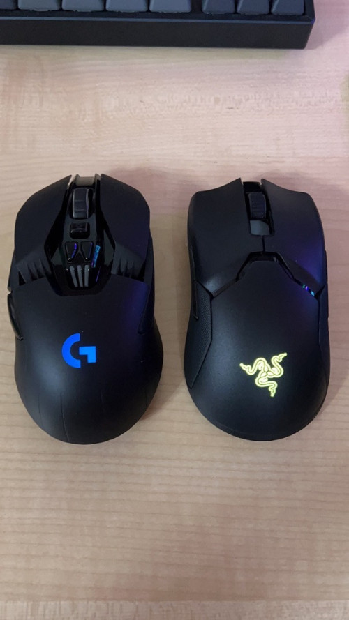 Mouse