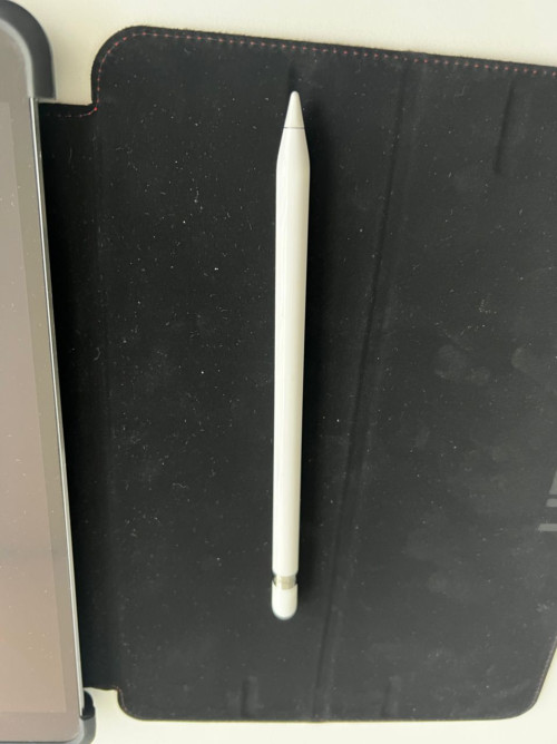 PHOTO 2022 09 11 11 13 19 3