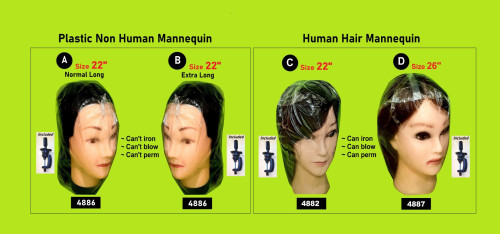 11 hair mannequin groupie