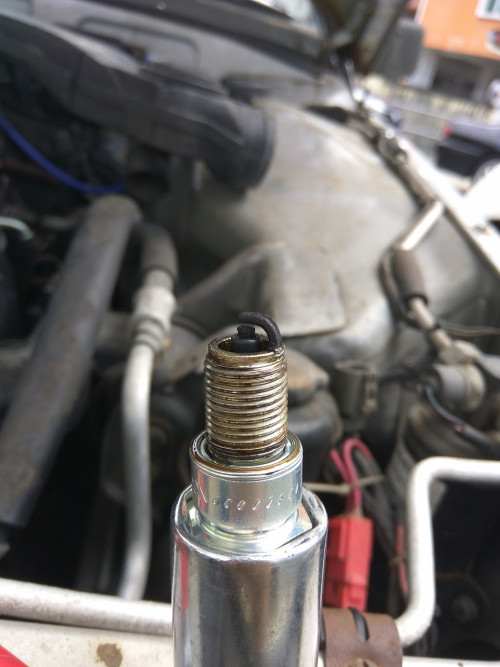 spark plug 02 0.3
