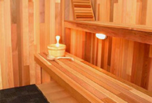1 sauna