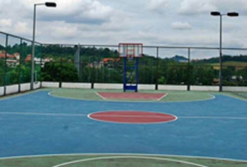 1 sports basket